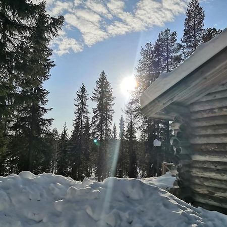 Mantytupa Lodge Syöte Екстериор снимка