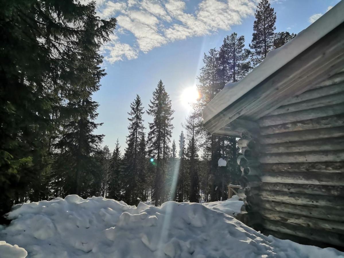 Mantytupa Lodge Syöte Екстериор снимка